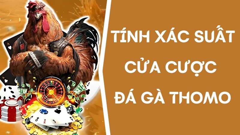 Cách tính xác suất kèo đá gà thomo