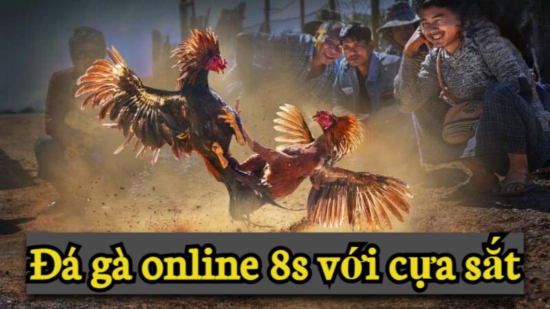 đá gà online 8s cựa sắt