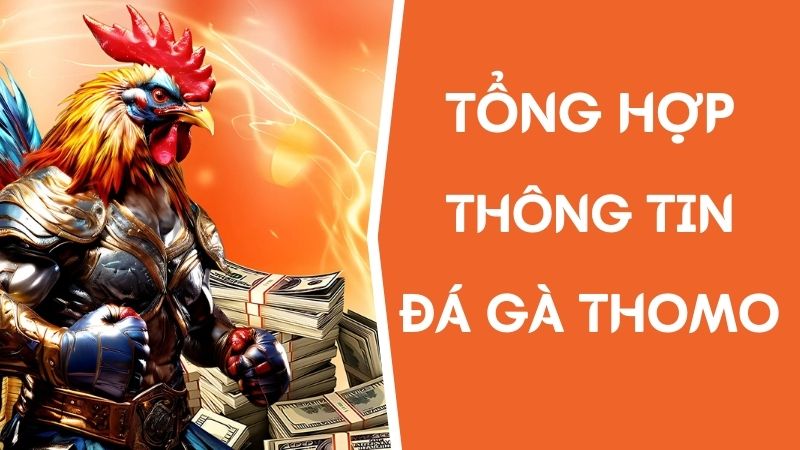 thông tin tham gia đá gà thomo