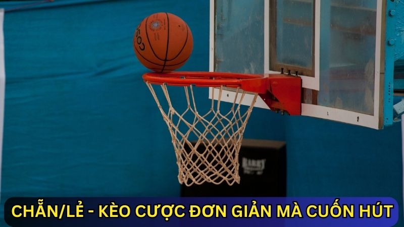 cá cược bóng rổ kèo Chẵn/Lẻ 