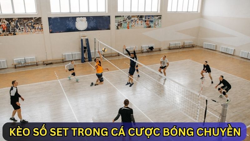 kèo số set trong cá cược bóng chuyền