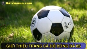 trang cá độ bóng đá