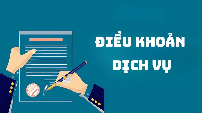 điều khoản dịch vụ 8s