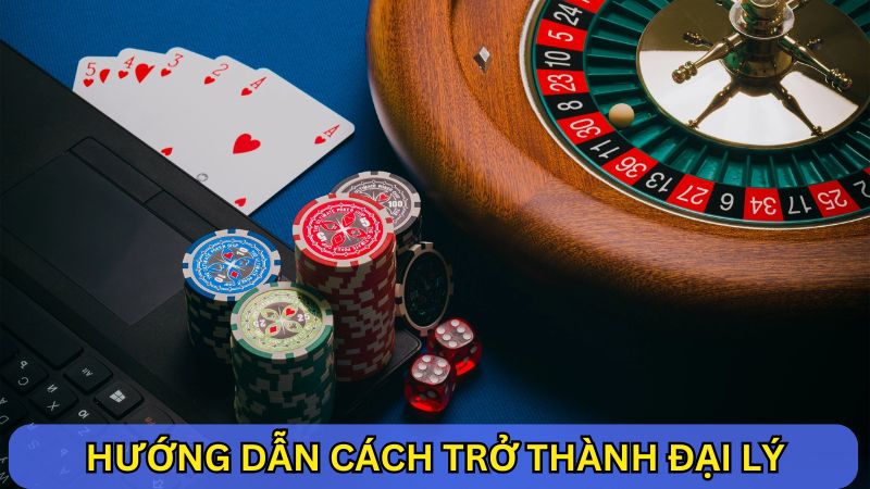 hướng dẫn tham gia chính sách đại lý 8S