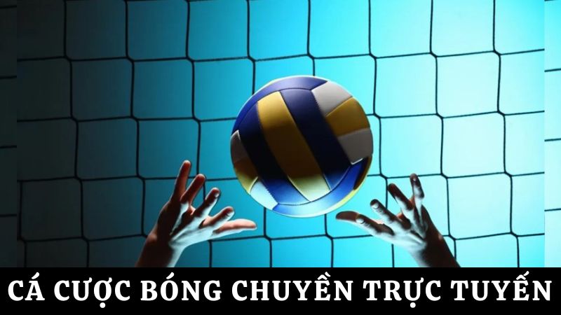 cá cược thể thao bóng  chuyền