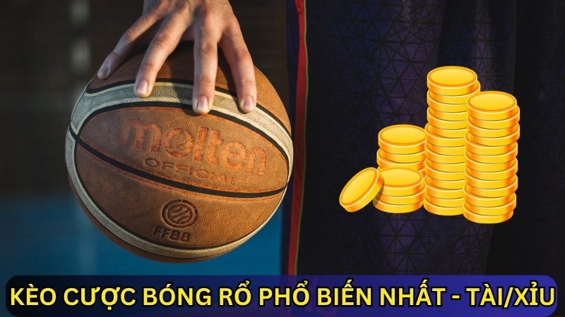 cá cược bóng rổ kèo Tài/Xỉu