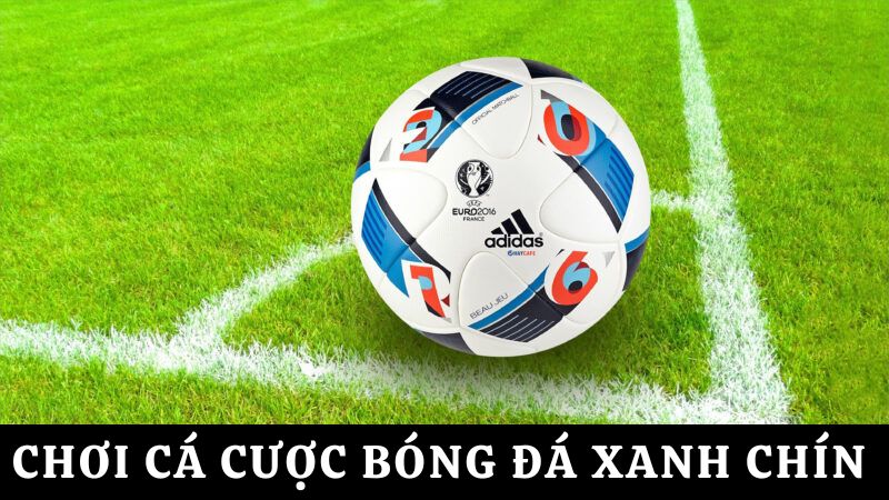 cá cược thể thao  bóng đá