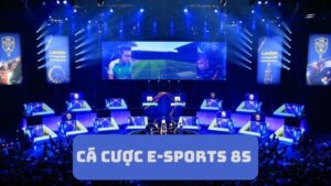 E-Sports 8s