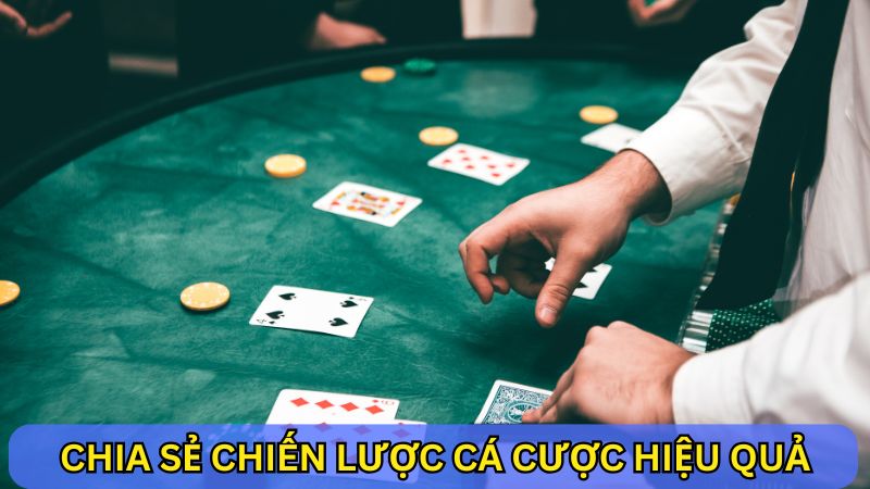 Tác giả chia sẻ chiến lược cá cược 