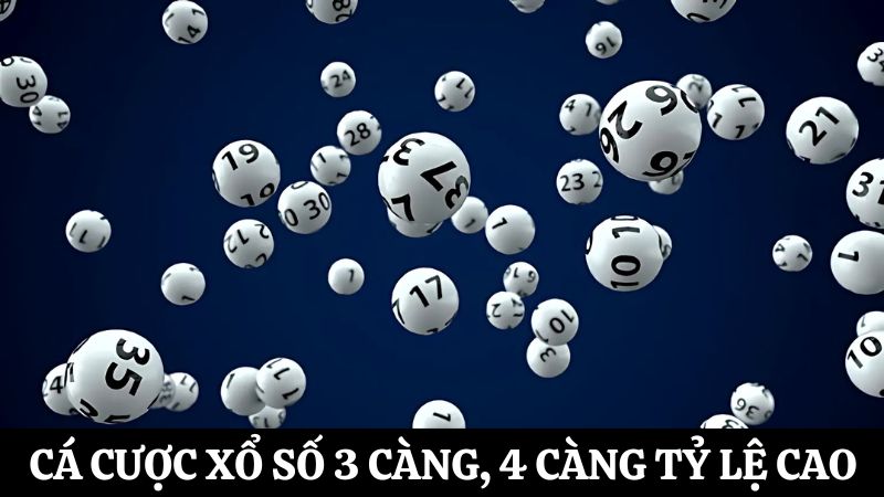 cá cược xổ số 8s 3 càng, 4 càng